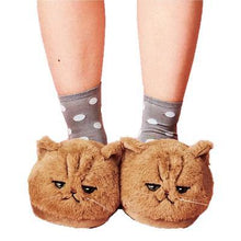 DROPSHIPPING New arrival Millffy Cute PLUSH KITTEN SOFT ANIMAL Cat Women Plush Slippers Ladies home BEDROOM Slippers - Fab Getup Shop